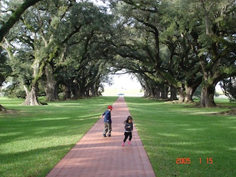 Oak allay plantation house